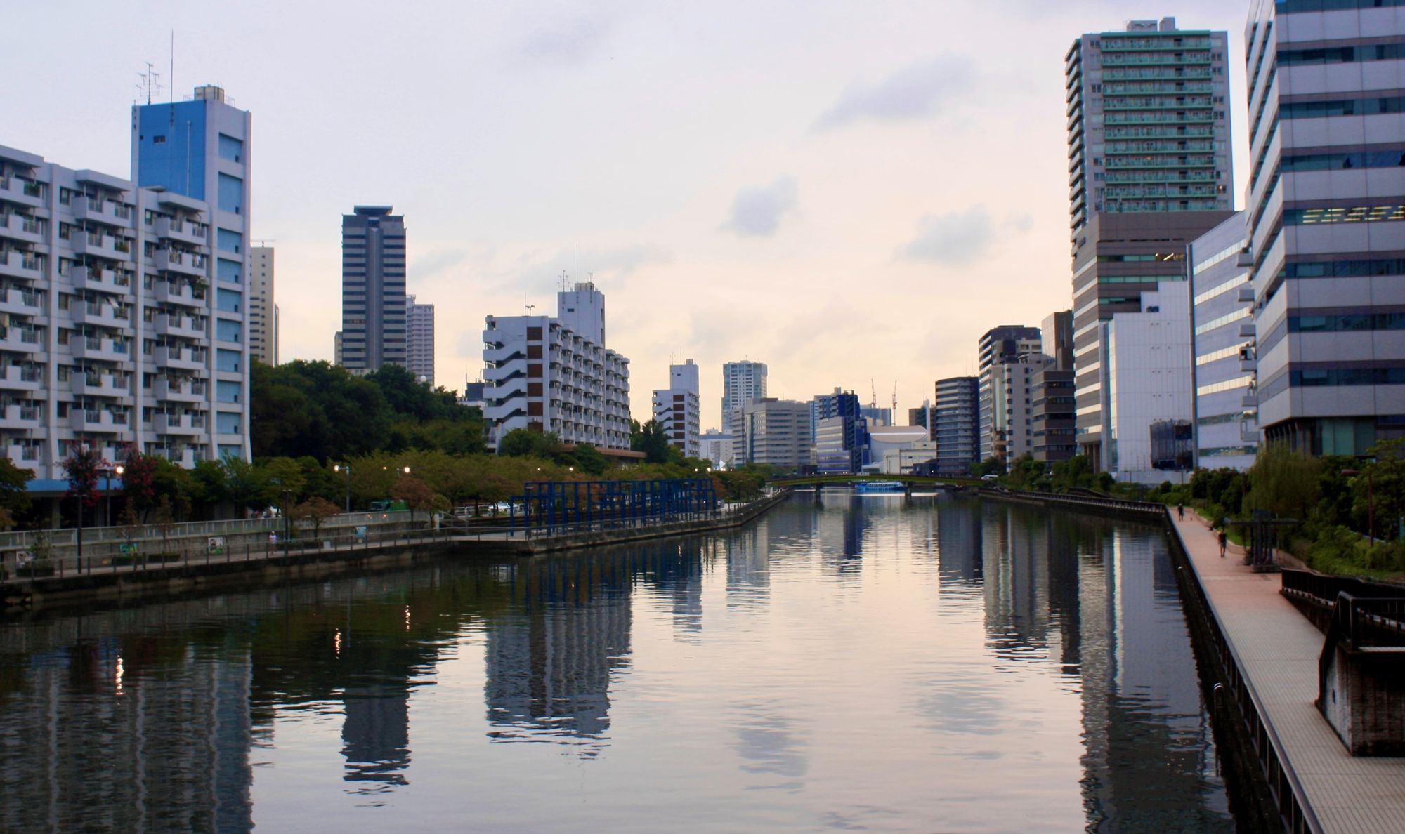 Where Tris Makes Art